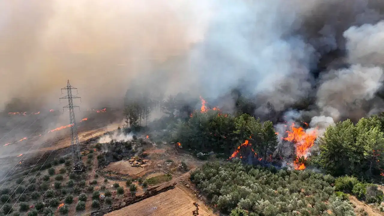 Tutuklamalar, Yangınlar, Kayıplar: 2025 Antalya Güncesi 15